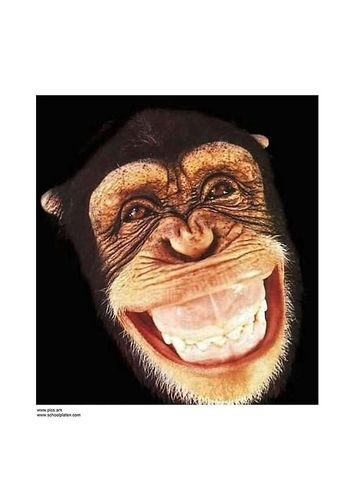 Affe 3