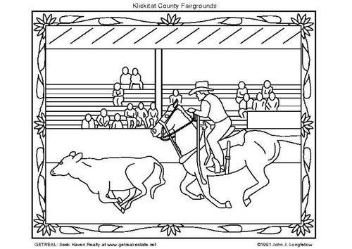 amerikanisches Rodeo