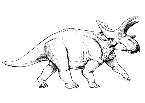 Anchiceratops dinosaurus