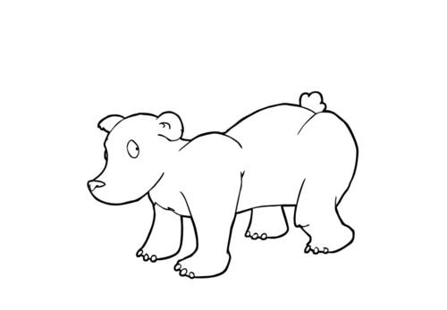 Malvorlage  Bär
