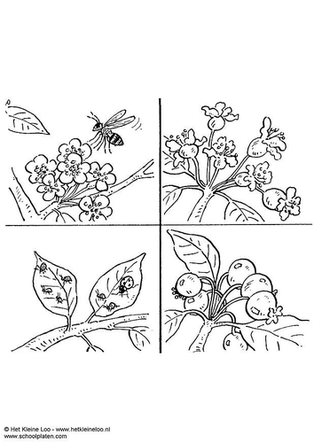 Bestäuben