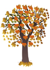 Bilder Baum im Herbst