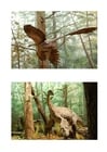 Dinosaurier mit Federn