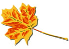 Bilder Herbstblätter