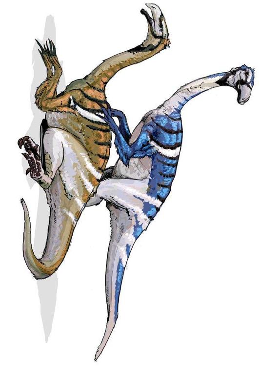 Nanshiungosaurier Dinosaurier