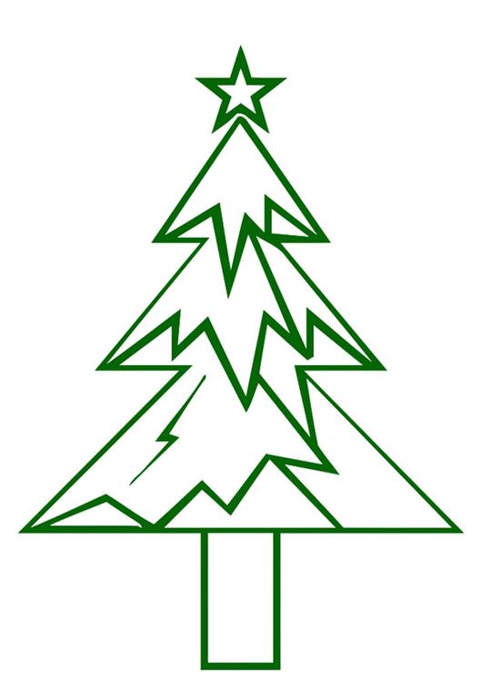 Tannenbaum mit Weihnachtsstern