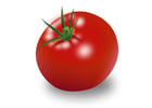 Bilder Tomate