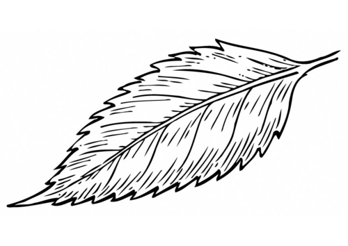 Blatt