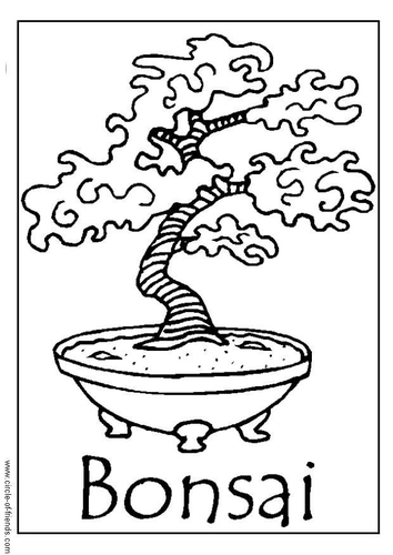 Malvorlage  Bonsaibaum
