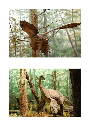 Dinosaurier mit Federn