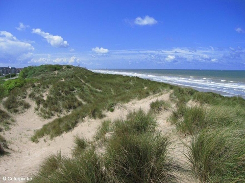 Foto Dünen Meer Küste 1