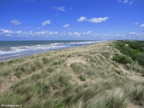 Foto Dünen Meer Küste