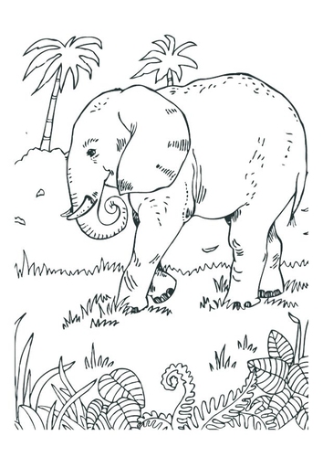 Malvorlage  Elefant