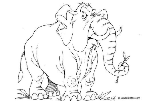 Elefant