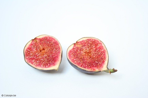 Foto Feige