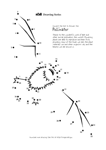 Fledermaus