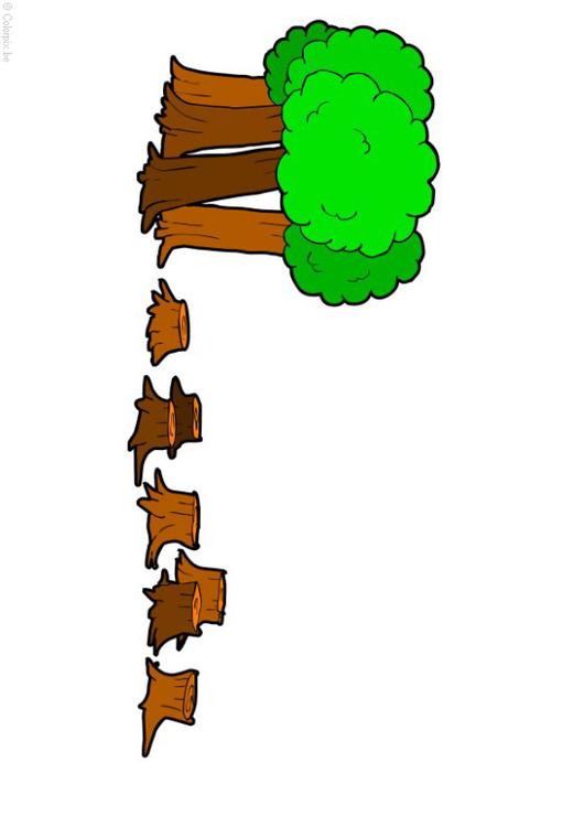 Abholzung
