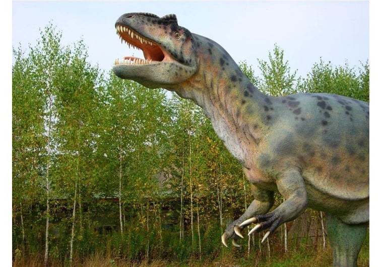 Foto Allosaurus Kopie