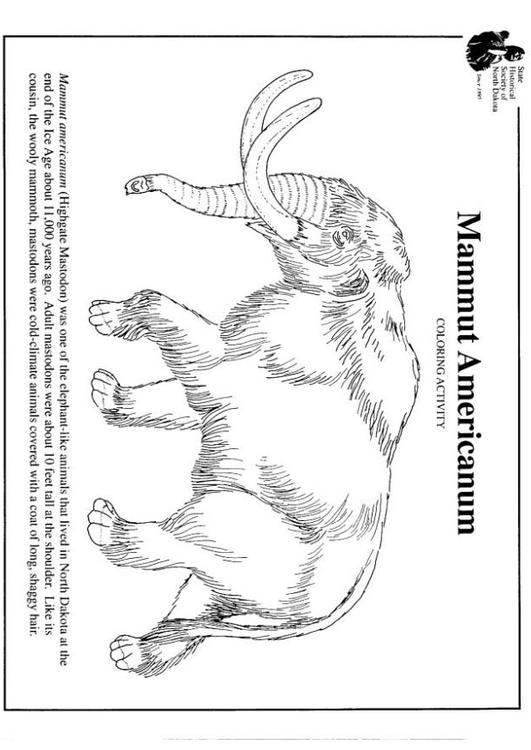amerikanisches Mammut