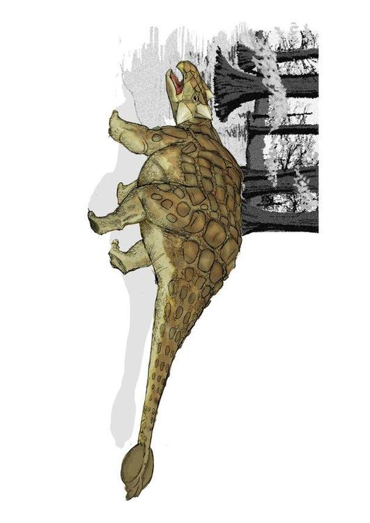 Ankylosaurier Dinosaurier