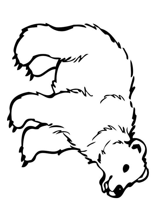 Bär