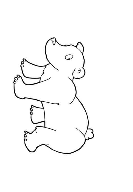 Bär