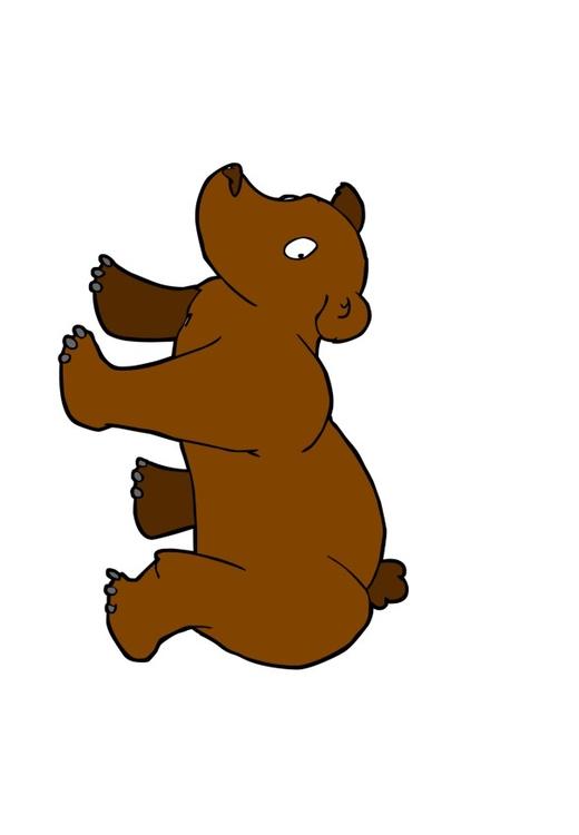 Bär