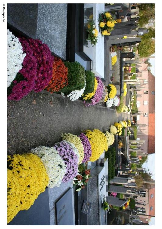 Friedhof