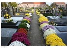 Fotos Friedhof