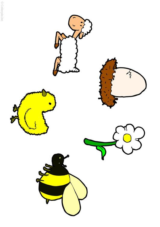 Frühling
