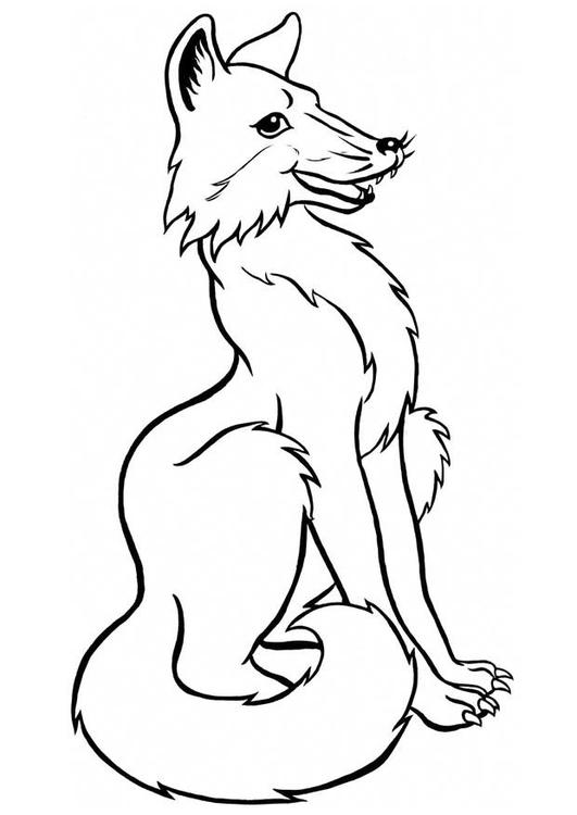 Fuchs