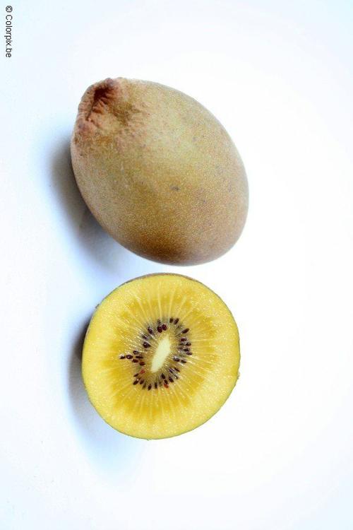 gelbe Kiwi