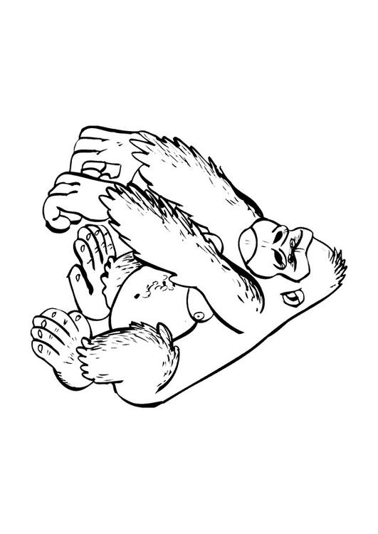 Gorilla