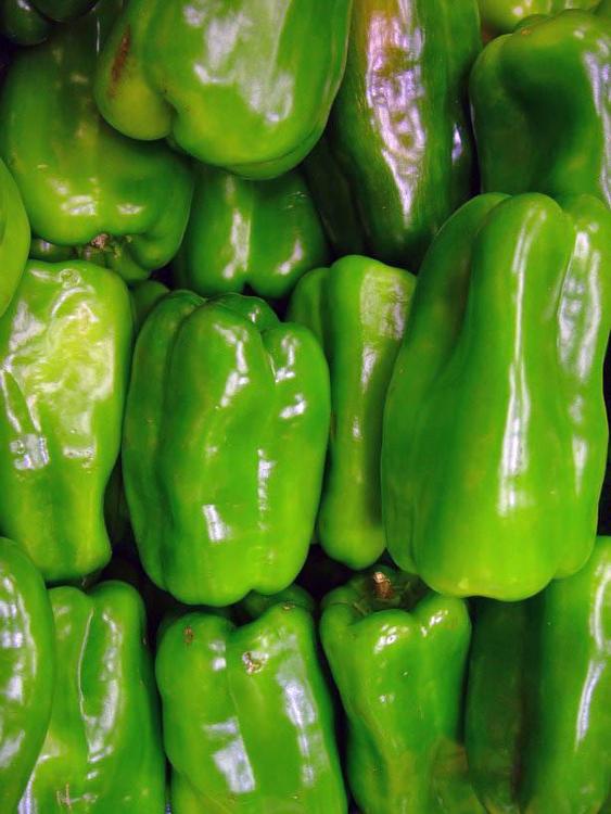 grüne Paprika