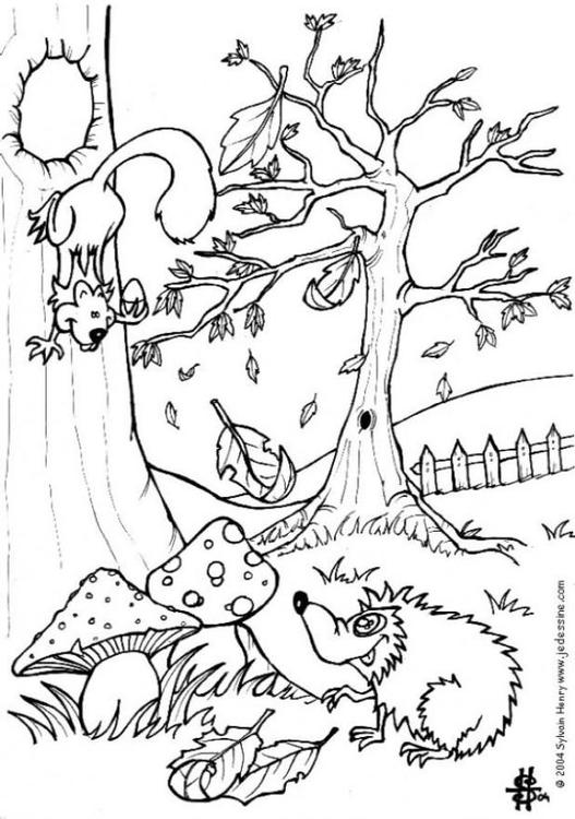 Herbst - Igel und Eichhörnchen