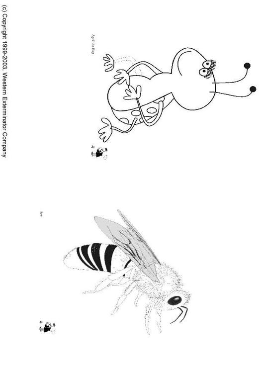 Insekten