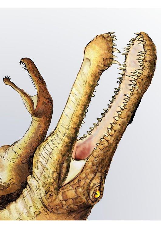 Irritator Dinosaurier
