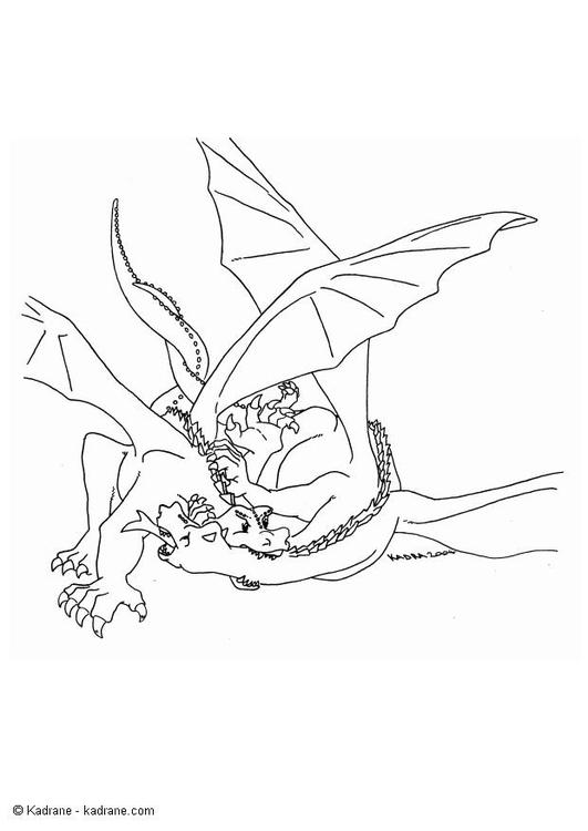 kämpfende Drachen