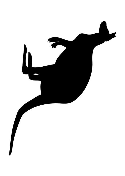 Känguruh