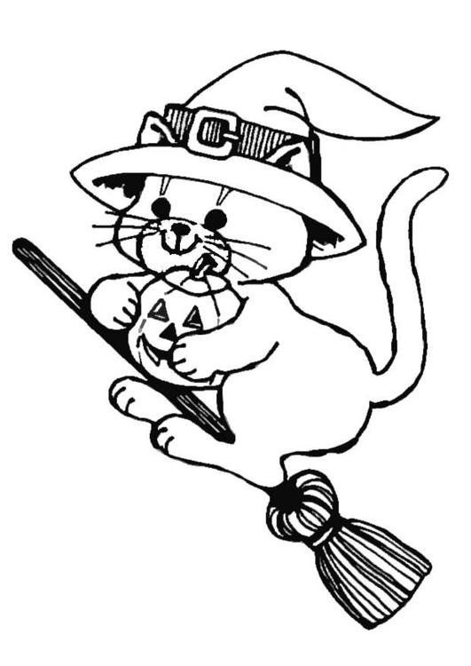 Katze auf Besen