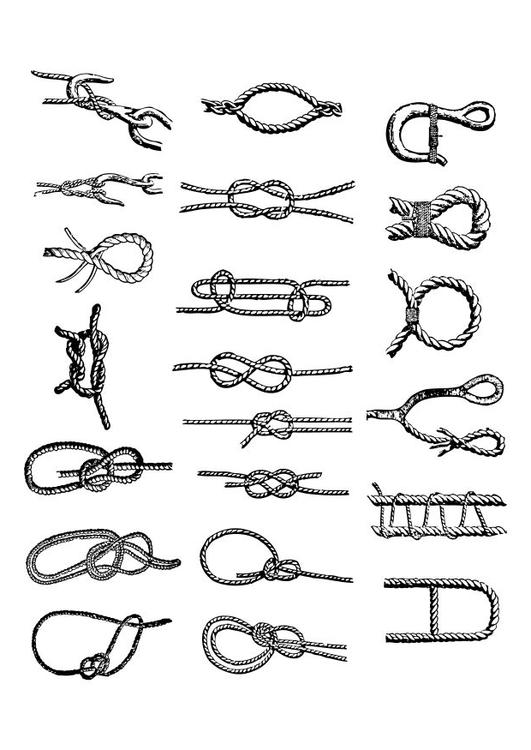Knoten