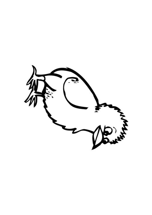 Küken