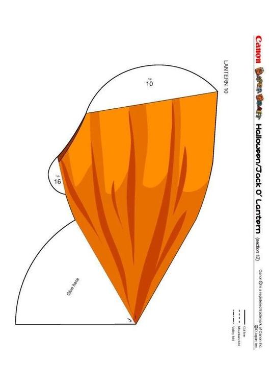Kürbis 12