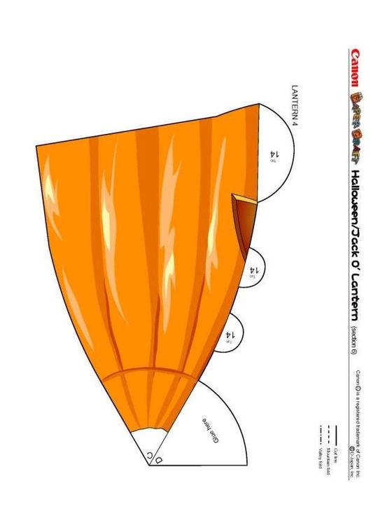 Kürbis 6