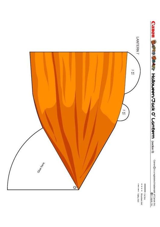 Kürbis 9