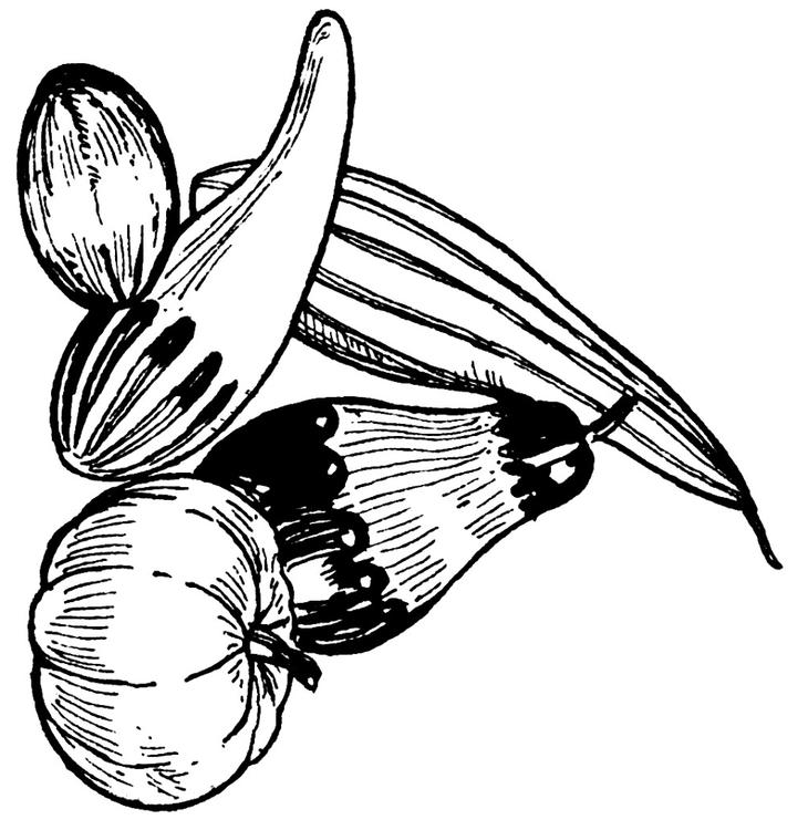 Kürbisse