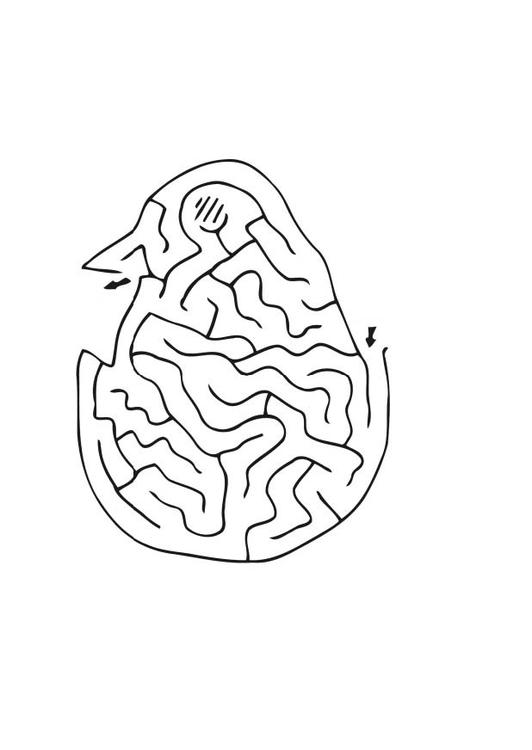 Labyrinth Küken