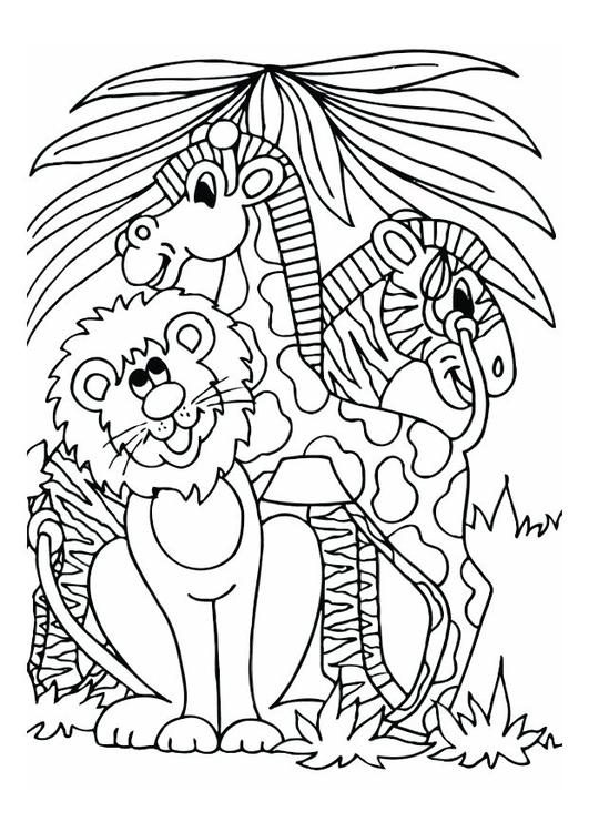 Löwe, Giraffe und Zebra