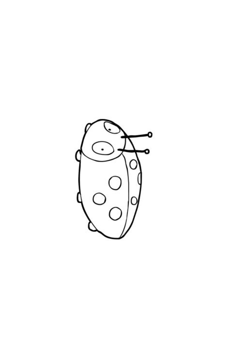 Marienkäfer