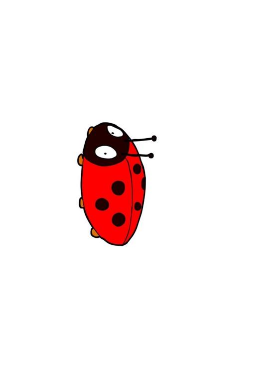 Marienkäfer